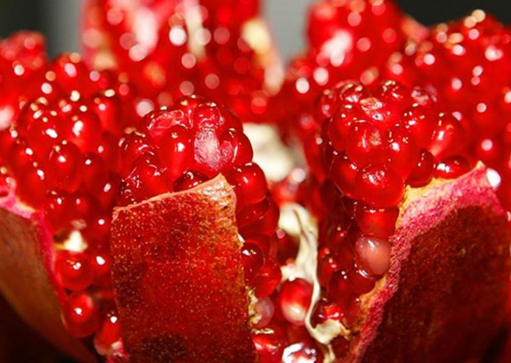 Superfood Granatapfel auf STRIKE magazin