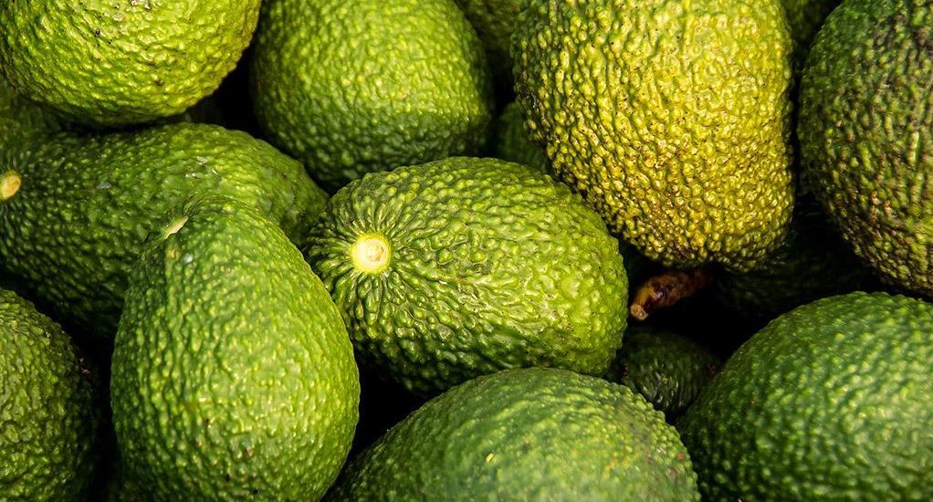 Superfood Avocado - Herkunft, Wirkung und Verzehrtipps