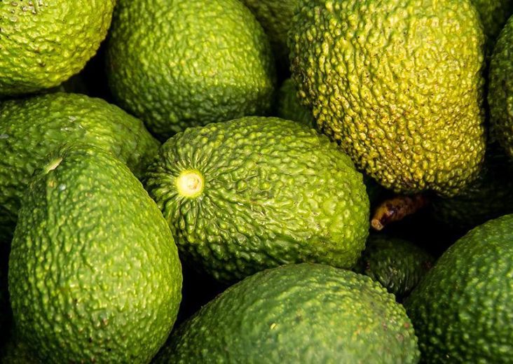 Superfood Avocado - Herkunft, Wirkung und Verzehrtipps