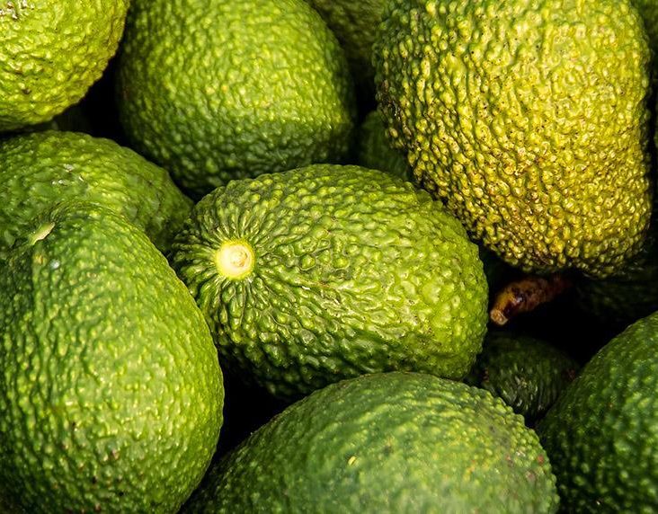 Superfood Avocado - Herkunft, Wirkung und Verzehrtipps