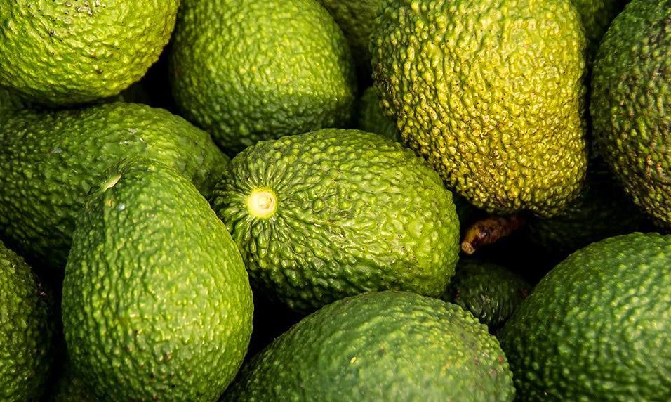 Superfood Avocado - Herkunft, Wirkung und Verzehrtipps