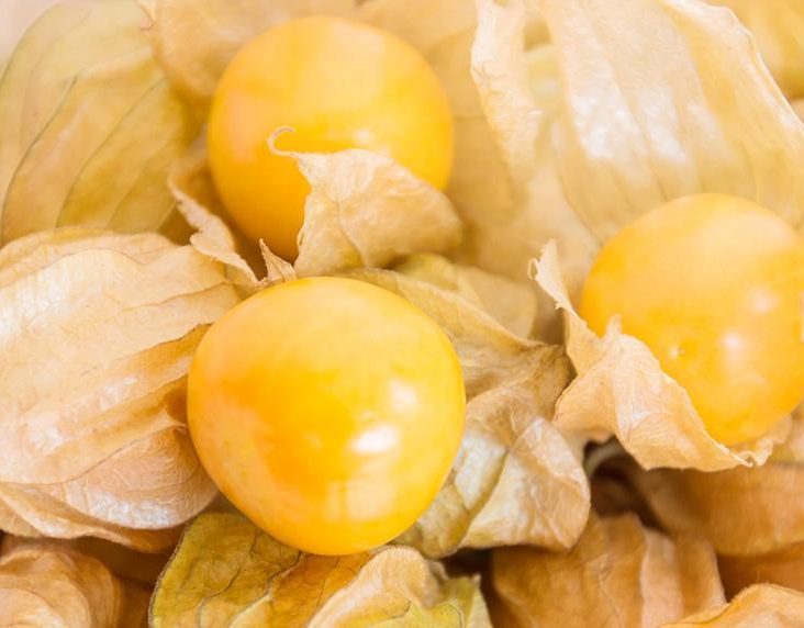 Superfood Physalis auf STRIKE magazin