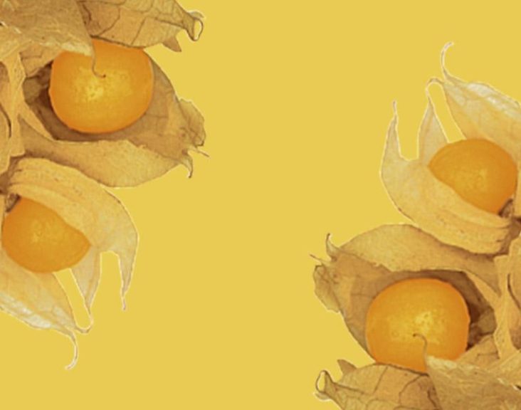 März Saisonkalender Obst auf STRIKE magazin